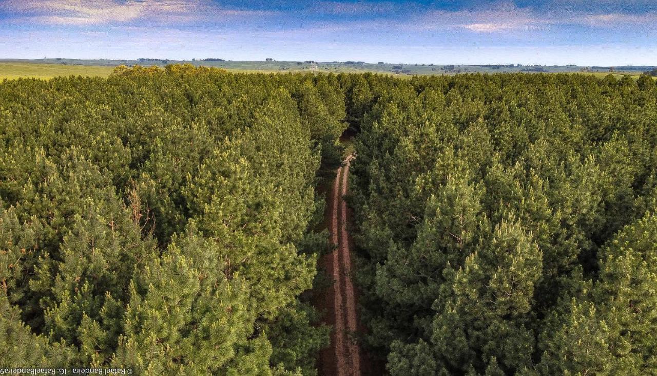 Вілла Pinos De La Quebrada Quebrada de los Cuervos Екстер'єр фото