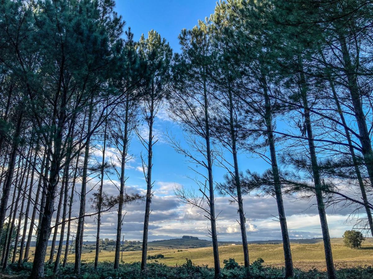 Вілла Pinos De La Quebrada Quebrada de los Cuervos Екстер'єр фото