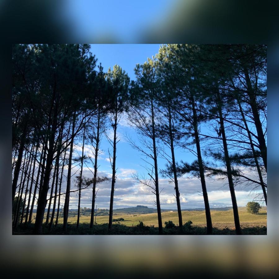 Вілла Pinos De La Quebrada Quebrada de los Cuervos Екстер'єр фото