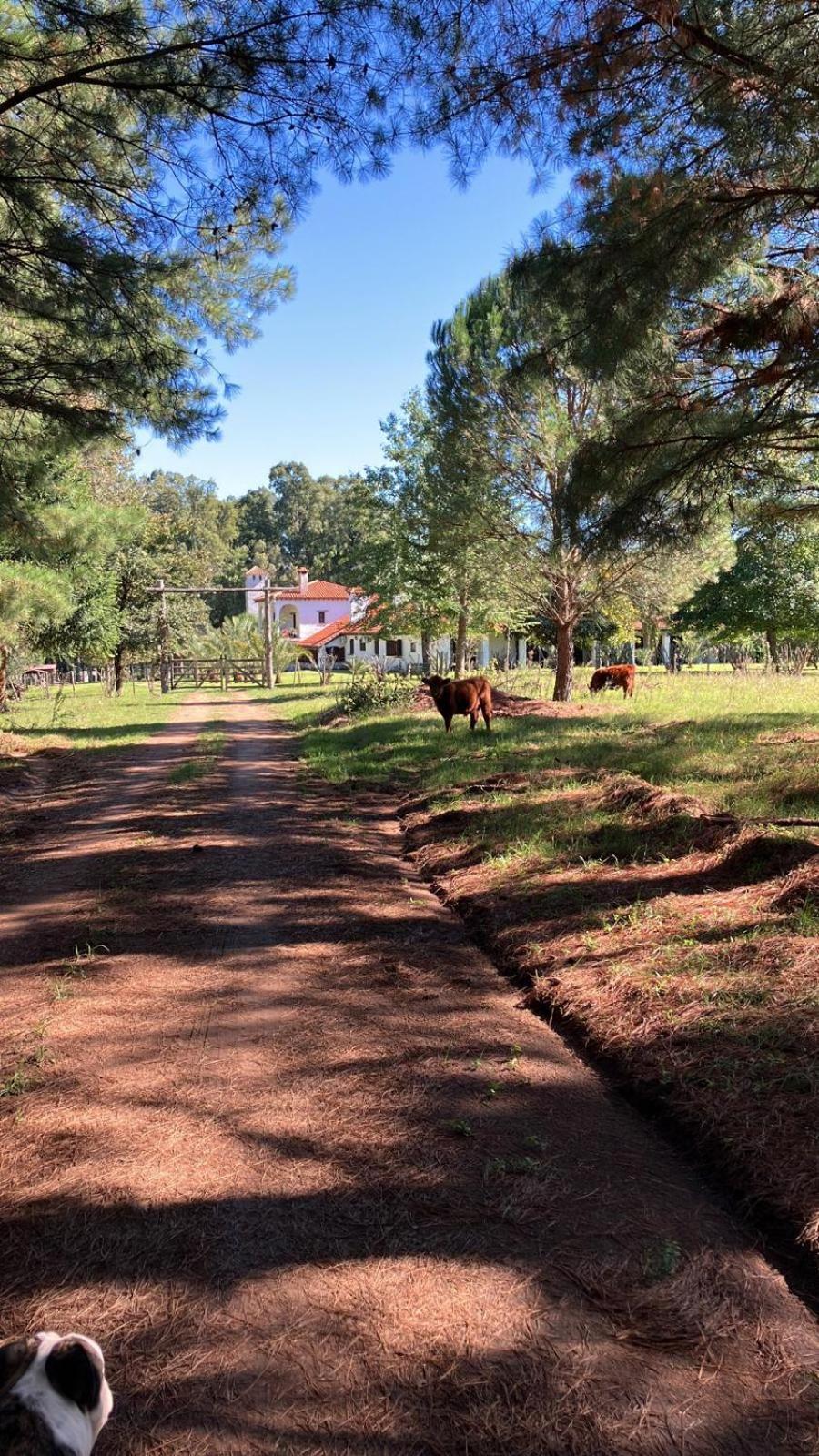 Вілла Pinos De La Quebrada Quebrada de los Cuervos Екстер'єр фото